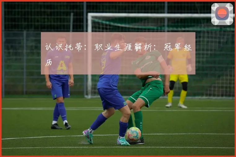 认识托蒂：职业生涯解析：冠军经历