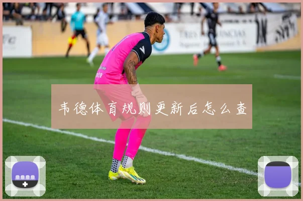 韦德体育规则更新后怎么查