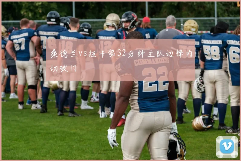 桑德兰vs纽卡第32分钟主队边锋内切破门
